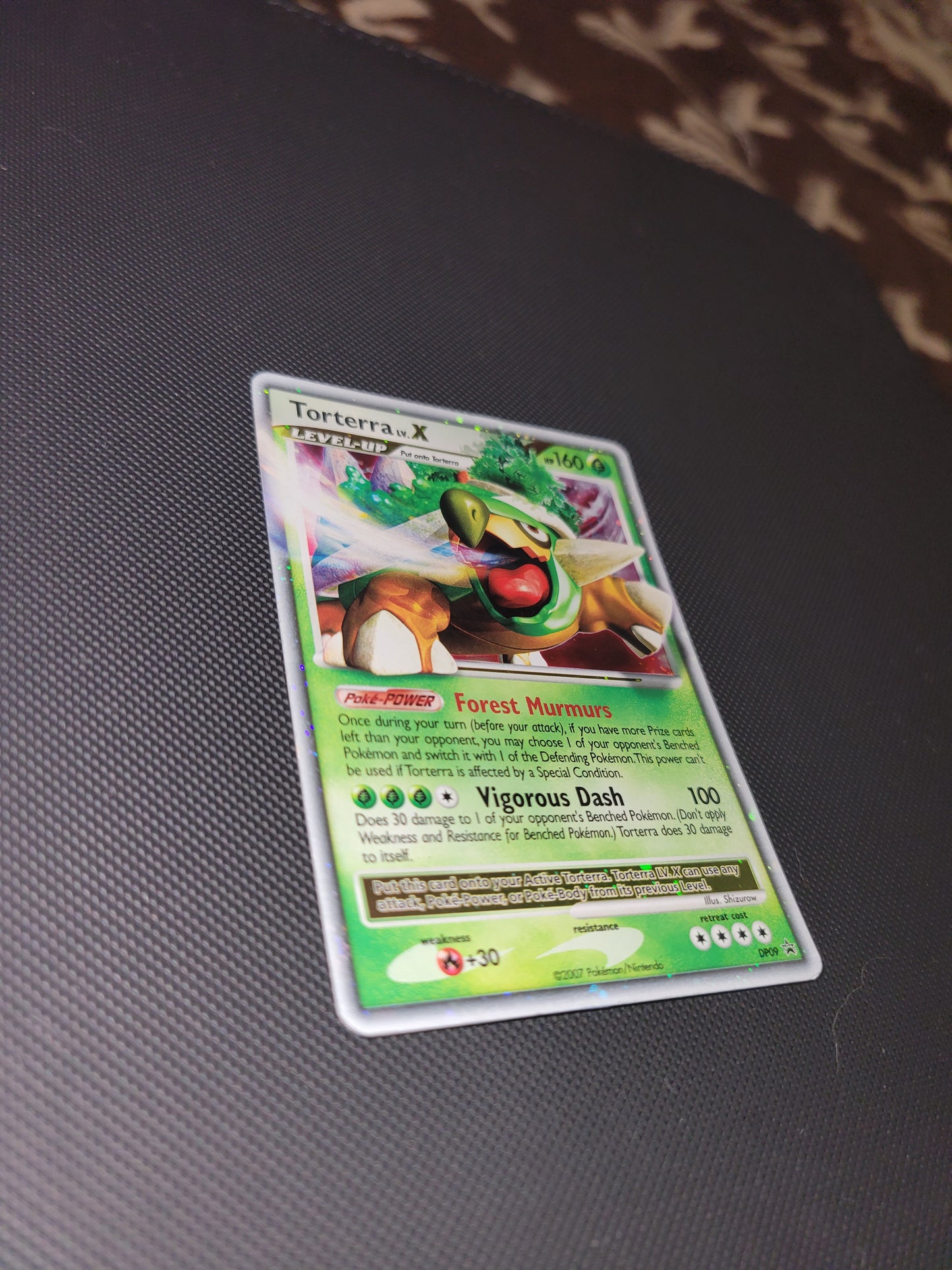Torterra Lv.X DP09