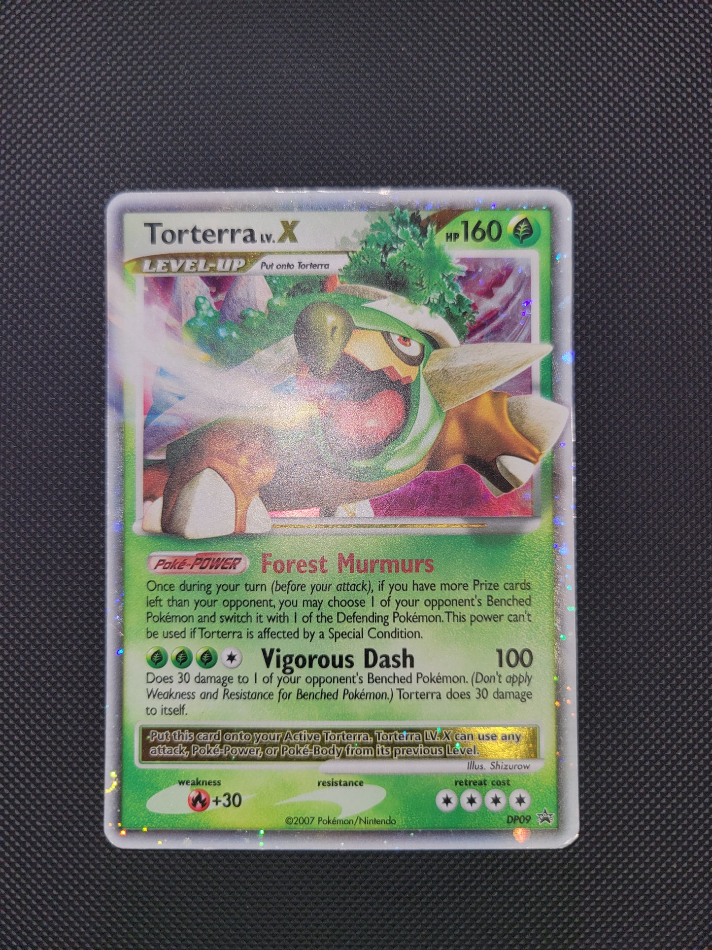 Torterra Lv.X DP09