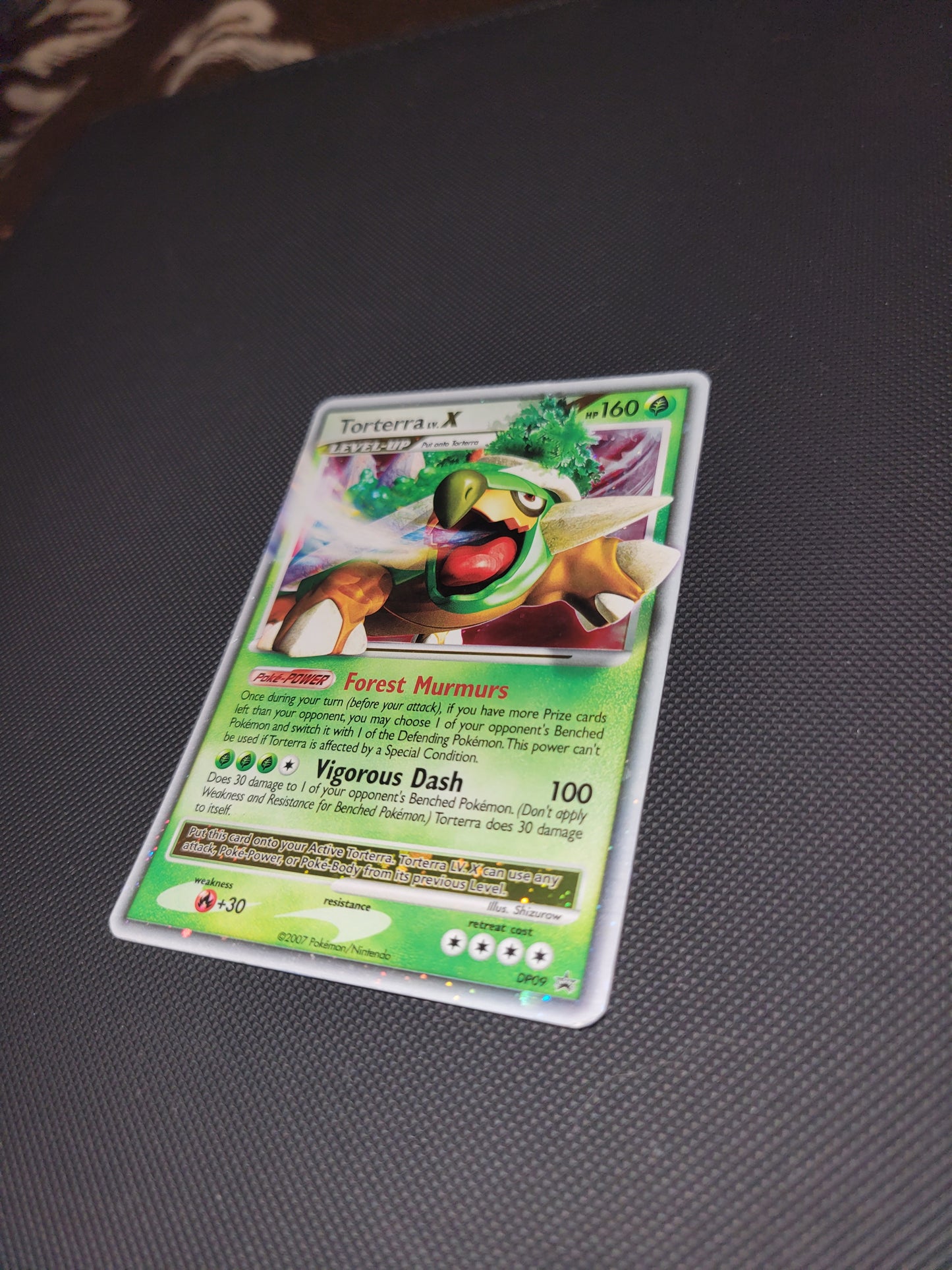 Torterra Lv.X DP09
